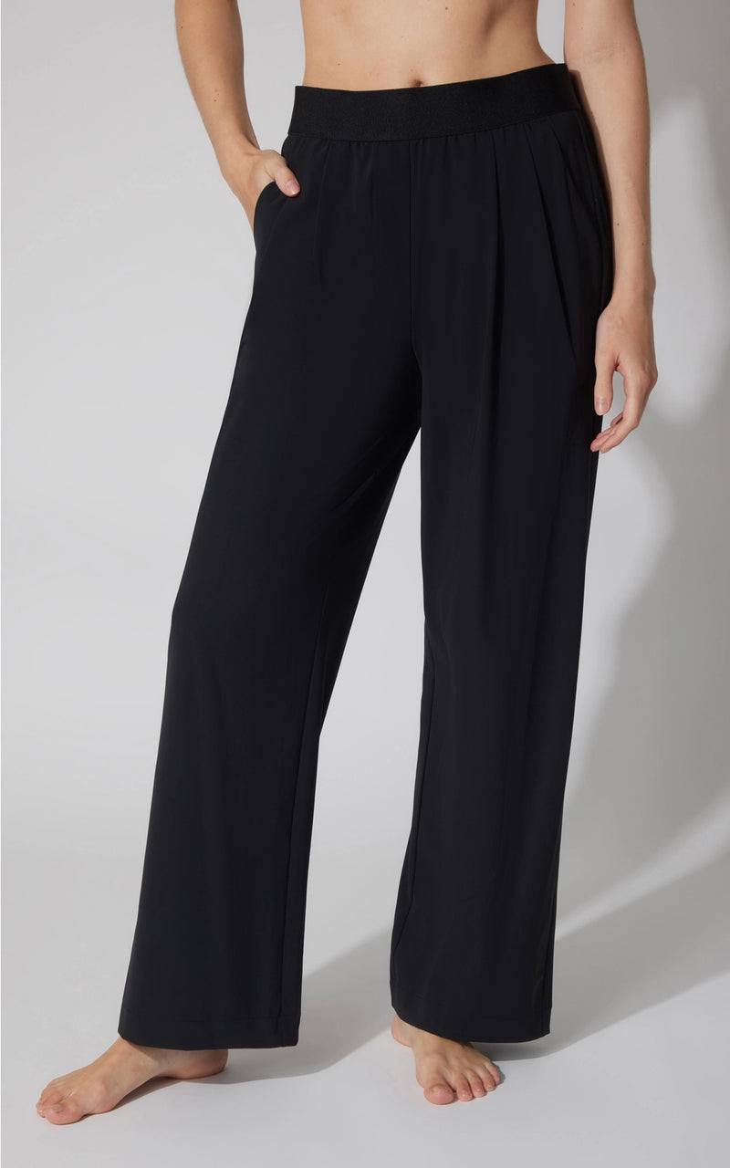 Wide Leg Pleated Pants