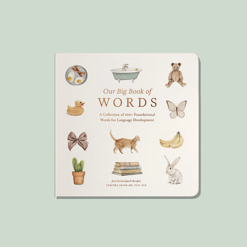 Our Big Book Of Words - Children's Book