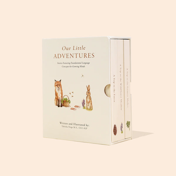 Our Little Adventures Box Set - Children's Books