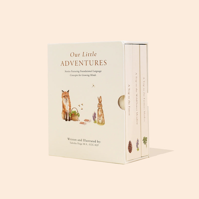 Our Little Adventures Box Set - Children's Books