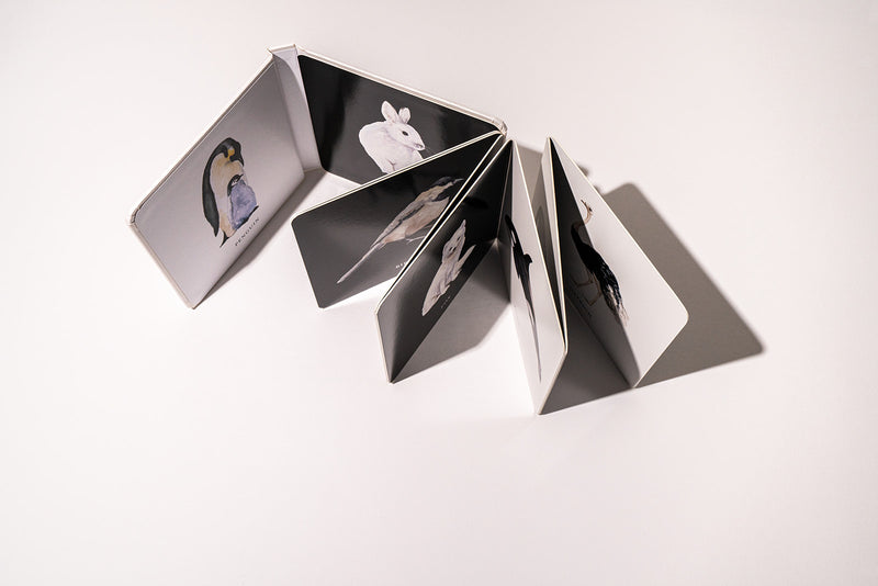 Black and White Contrast Book - Baby Book