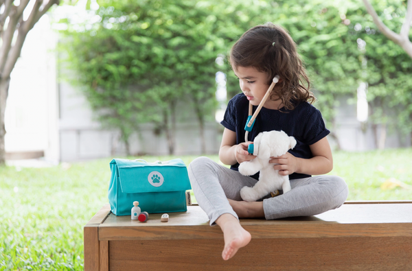 Vet Toy Set