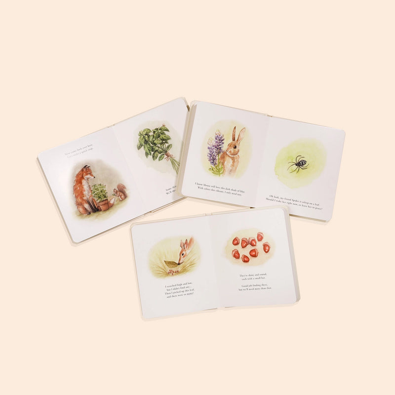 Our Little Adventures Box Set - Children's Books