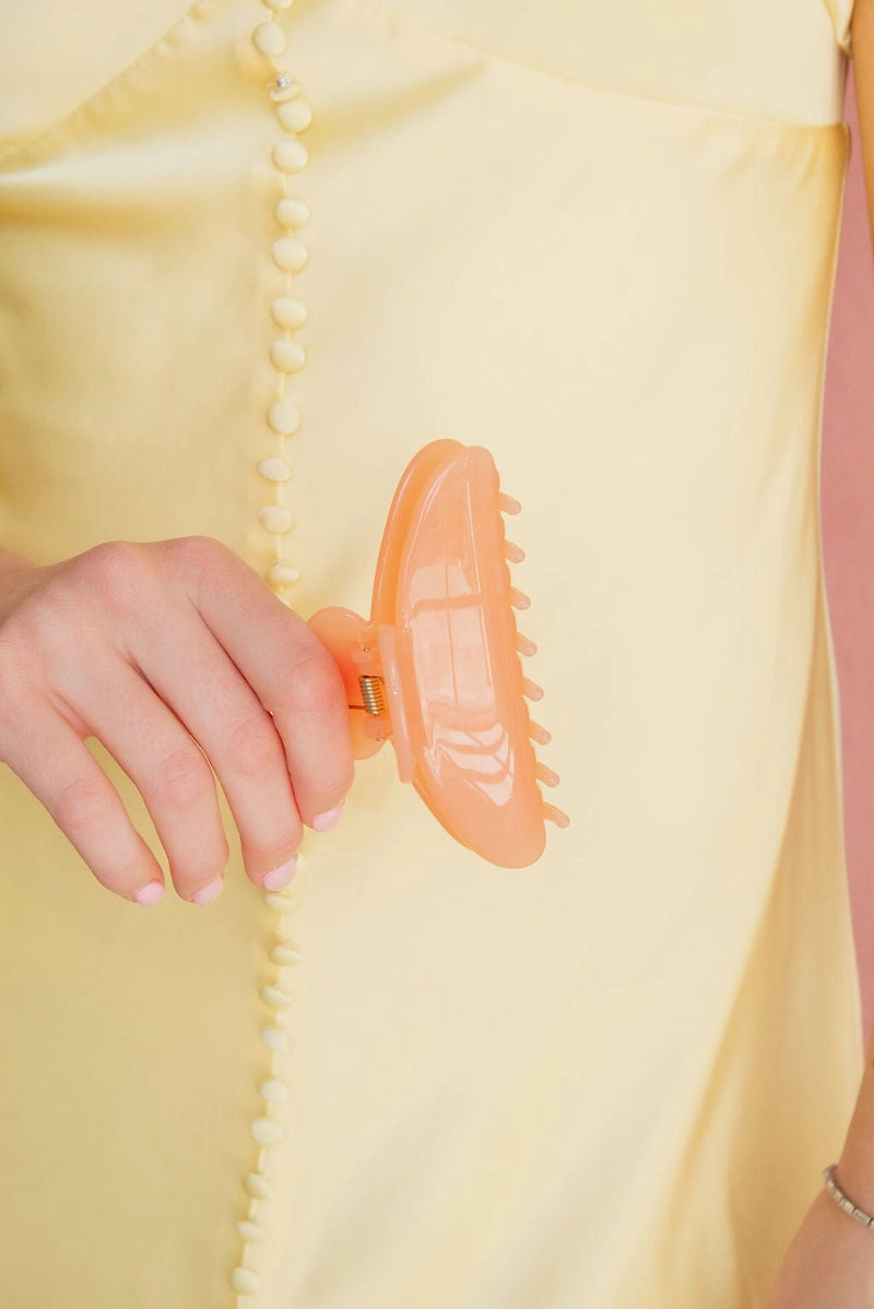 Jelly Claw Clip
